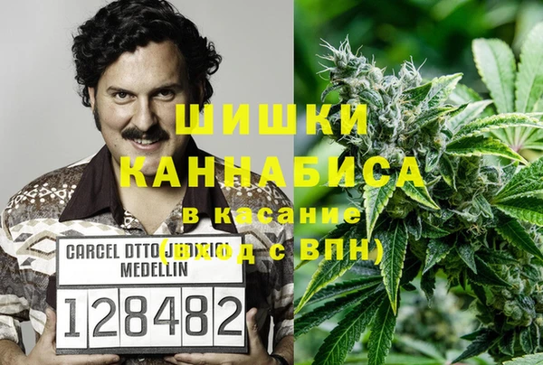 ПСИЛОЦИБИНОВЫЕ ГРИБЫ Лиски