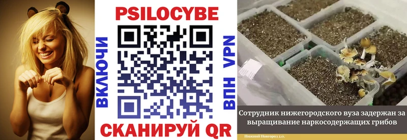 Псилоцибиновые грибы Magic Shrooms Ухта